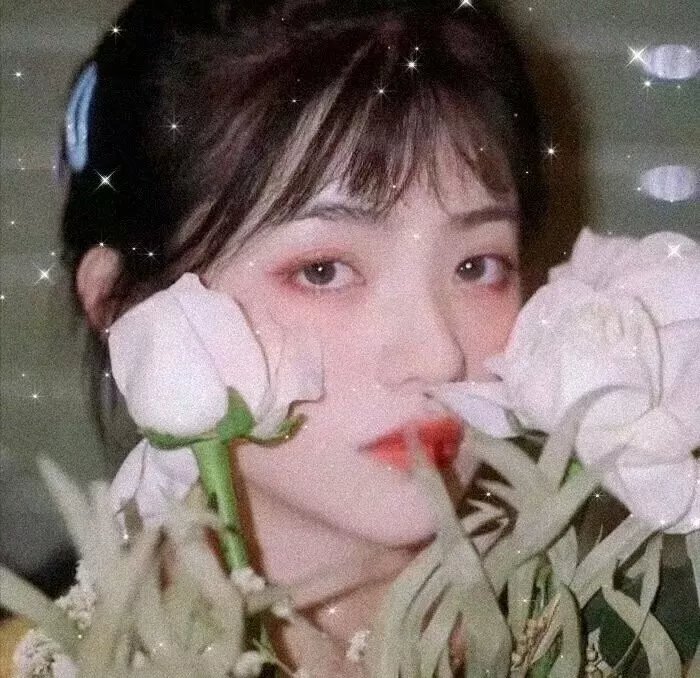 直言真相第二季